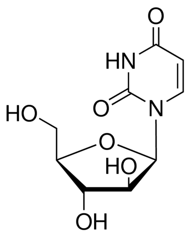 Uracil arabinoside 