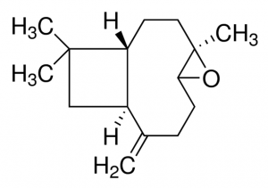 ()-Caryophyllene oxide PHL82496-100MG