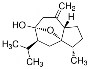 ()-Curcumol 