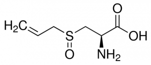 (�)-L-Alliin PHL89470-10MG