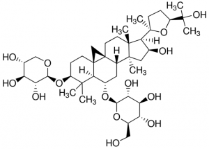 Astragaloside IV PHL89377-10MG