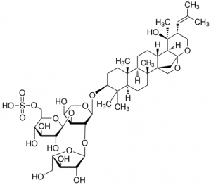 Bacopaside I PHL80363-10MG