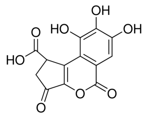 Brevifolincarboxylic acid PHL83841-10MG