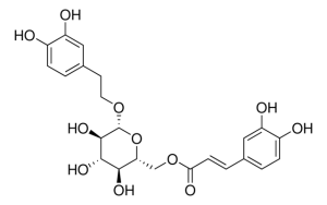 Calceolarioside B PHL83482-10MG