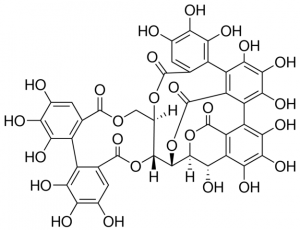 Castalagin PHL83486-5MG