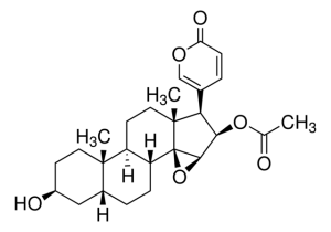 Cinobufagin PHL89609-10MG