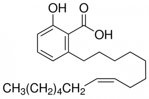 Ginkgolic acid C15:1 PHL89522-10MG