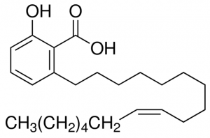Ginkgolic acid C17:1 