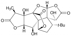 Ginkgolide B from Ginkgo biloba leaves 