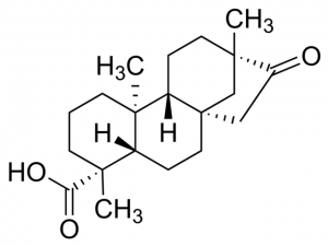 Isosteviol PHL82395-20MG
