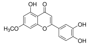 Luteolin 7-methyl ether PHL83264-10MG