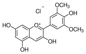 Malvidin chloride 92607-10MG
