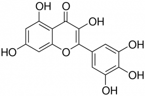 Myricetin PHL89252-20MG