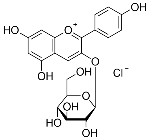 Pelargonidin 3-glucoside chloride PHL89753-10MG
