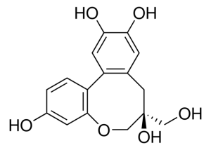 Protosappanin B PHL84252-10MG