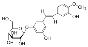 Rhapontin 