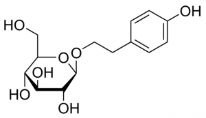 Salidroside 