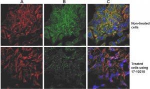 ProteoExtract� Native Cytoskeleton Enrichment 17-10210