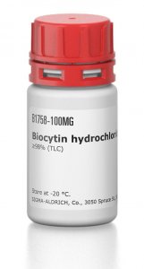 Biocytin hydrochloride 