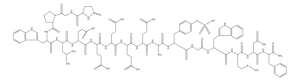 Gastrin II Sulfated 