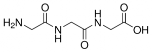 Gly-Gly-Gly 