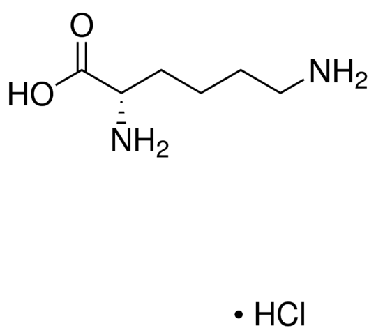 L-Lysine monohydrochloride 