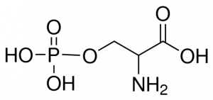 O-Phospho-DL-serine 