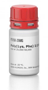 Poly(Lys, Phe) 1:1 hydrobromide 