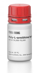 Poly-L-ornithine hydrobromide 