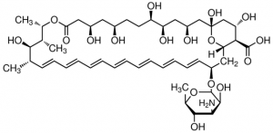 Amphotericin B from Streptomyces sp. 
