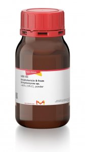 Amphotericin B from Streptomyces sp. 