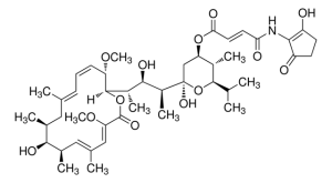 Bafilomycin B1 from Streptomyces sp. 