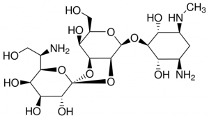 Hygromycin B solution from Streptomyces hygroscopicus 