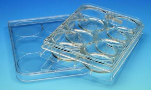CytoSoft� 5141-5EA