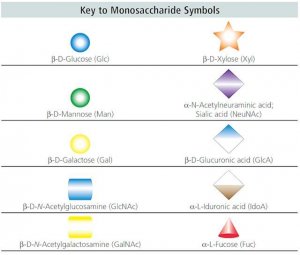 3-Sialyllactose 