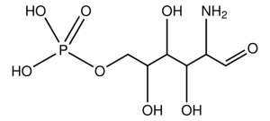 D-Glucosamine 6-phosphate 