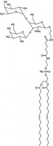 FSL-LEa(tri) 