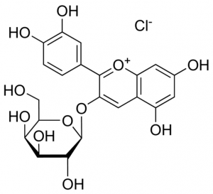 Idaein chloride 19050-1MG-F