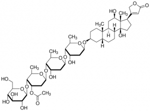 Lanatoside C 