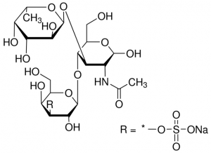 Lewis-X trisaccharide 3-sulfate sodium salt 51912-1MG