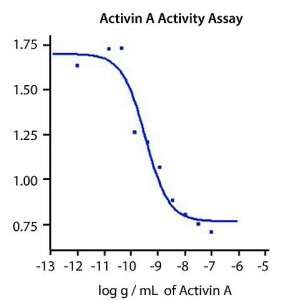 Activin A human 