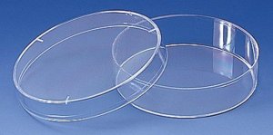 BRAND� disposable petri dish with lid BR452005-480EA