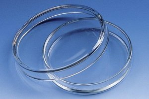 BRAND� Petri dish, glass BR455717-10EA