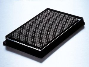 Corning� 384 well microplate, low volume CLS3643-50EA
