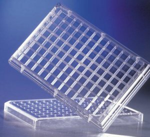Corning� HTS Transwell� 96 well permeable support system, accessory plates CLS3382-10EA