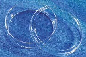 Corning� Ultra-low attachment culture dishes CLS3262-20EA