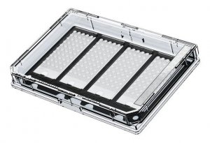 Grace Bio-Labs CultureWell� coverglass inserts, with 4 chambered coverglasses GBL103450-10EA