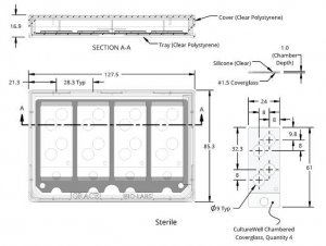 Grace Bio-Labs CultureWell� coverglass inserts, with 4 chambered coverglasses GBL103440-10EA