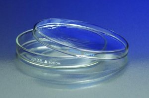 Pyrex� petri dishes CLS3160152BO-12EA