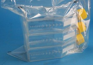 TPP� tissue culture flasks Z707562-18EA